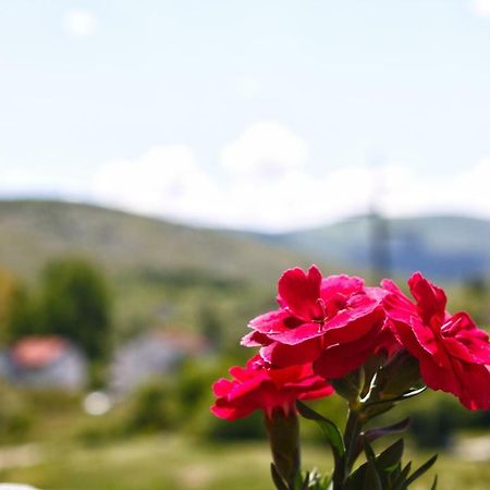 Apartmani S.Kilaci Blagaj Dış mekan fotoğraf