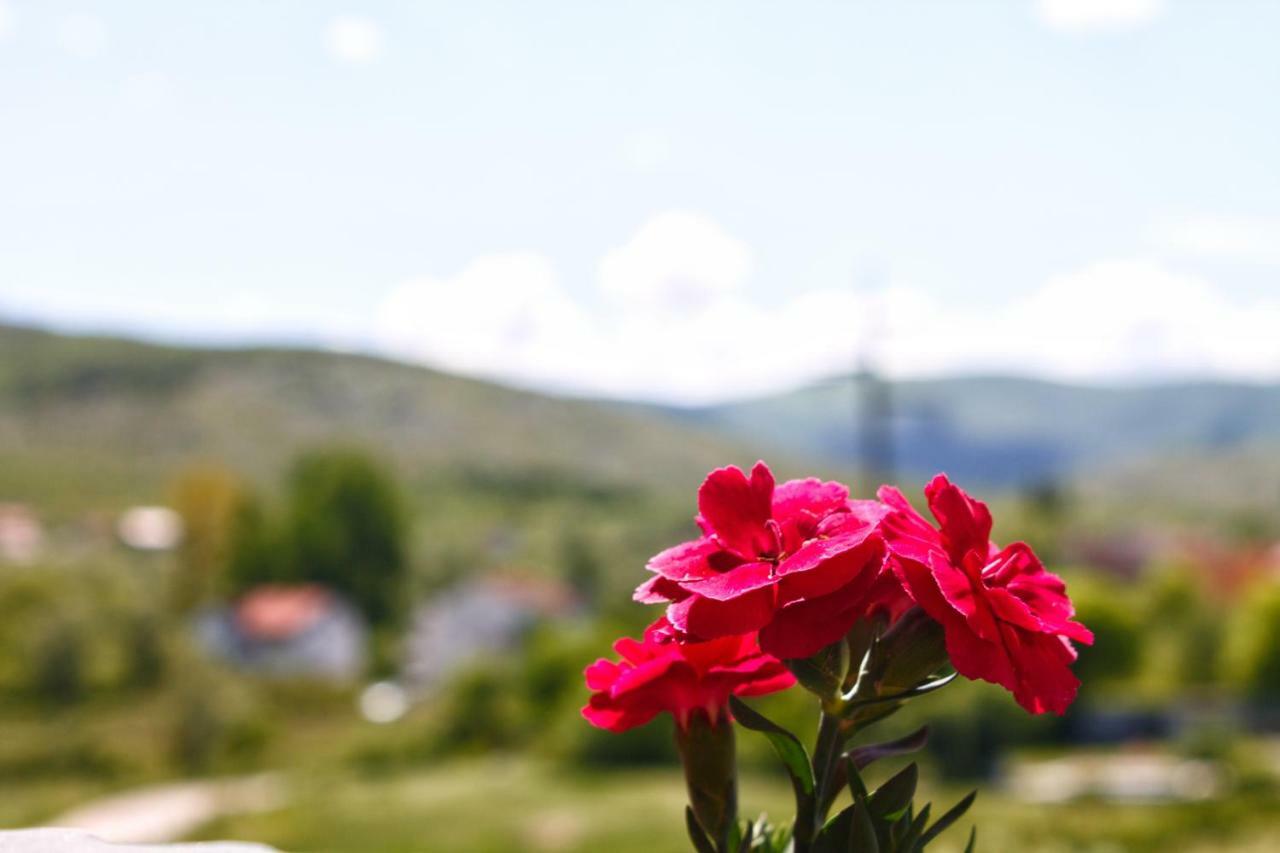 Apartmani S.Kilaci Blagaj Dış mekan fotoğraf